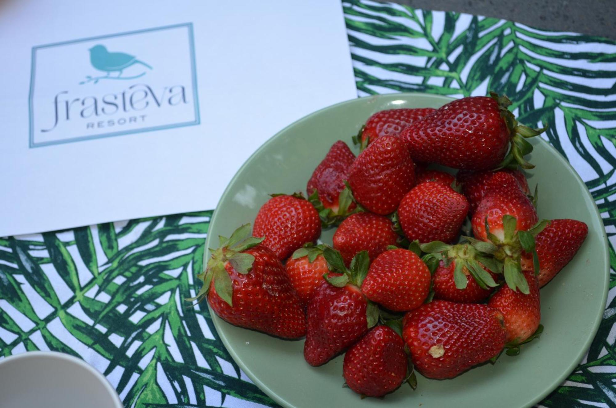 Frasteva Holiday home *